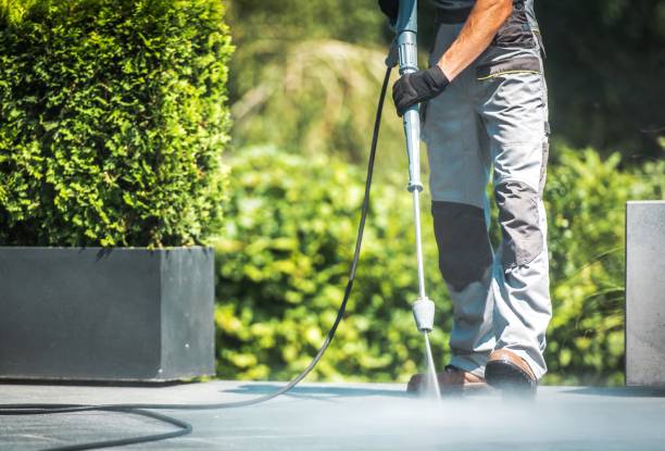  , MS Pressure Washing Pros